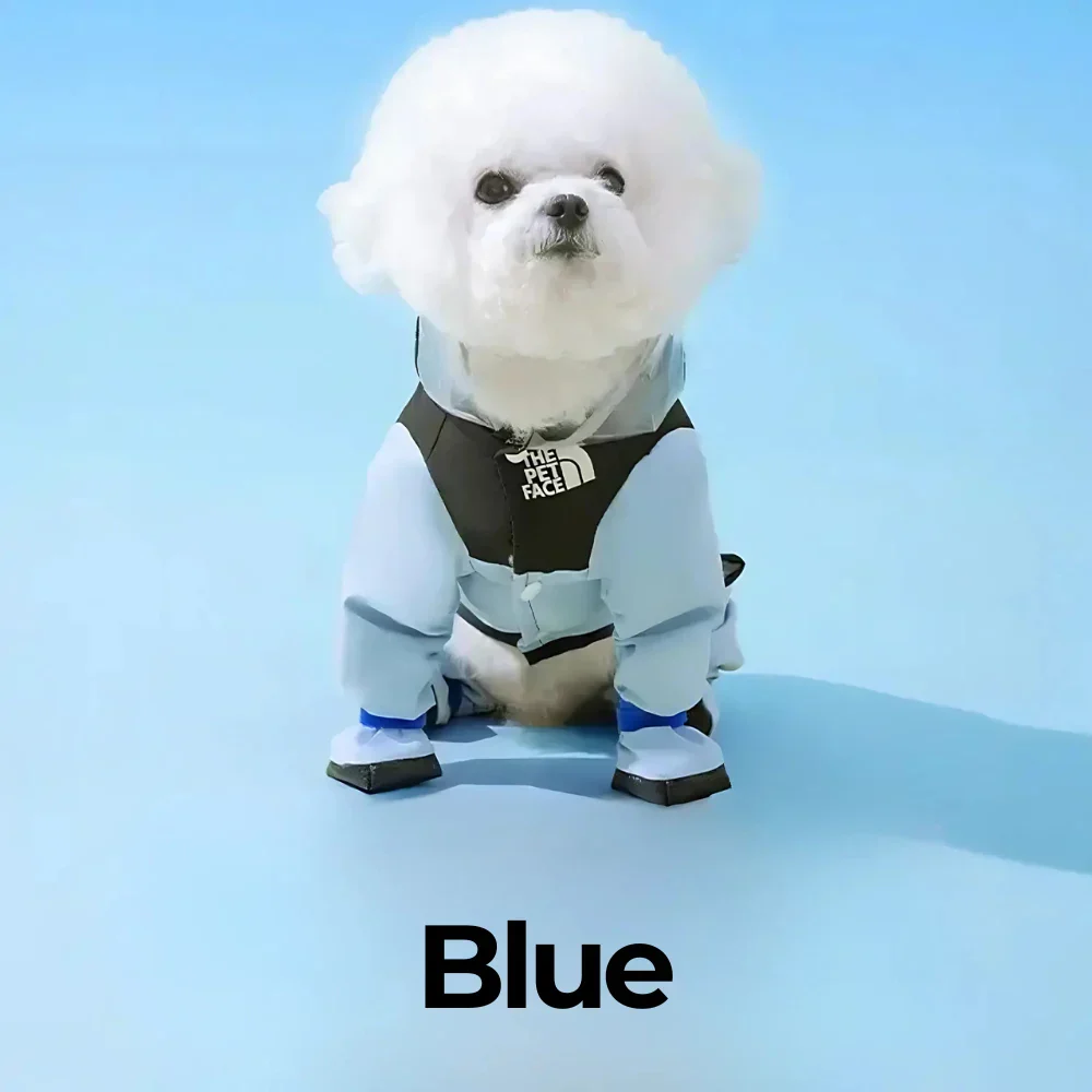 The Dog Face Raincoat